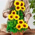 DR003 Diseno con Girasoles Verano 1 2