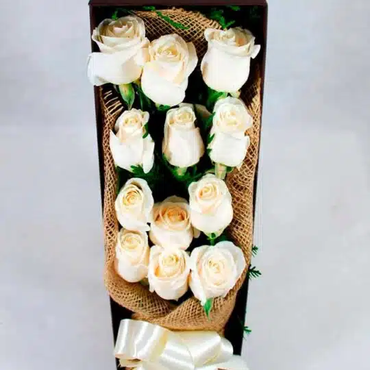 caja de 12 rosas blancas 1