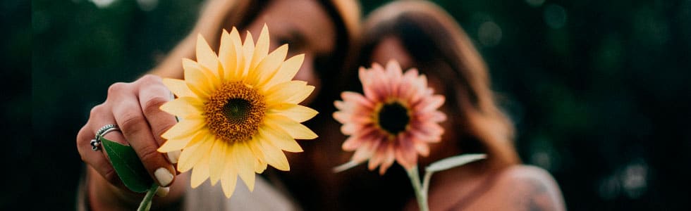 flores amor y amistad