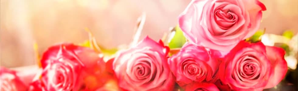 rosas dia de la mujer